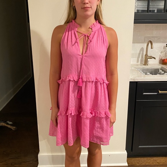 Roller Rabbit Pink Dress - Picture 4 of 11